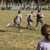 PLATEAU U8 SAUGUES 011_resultat